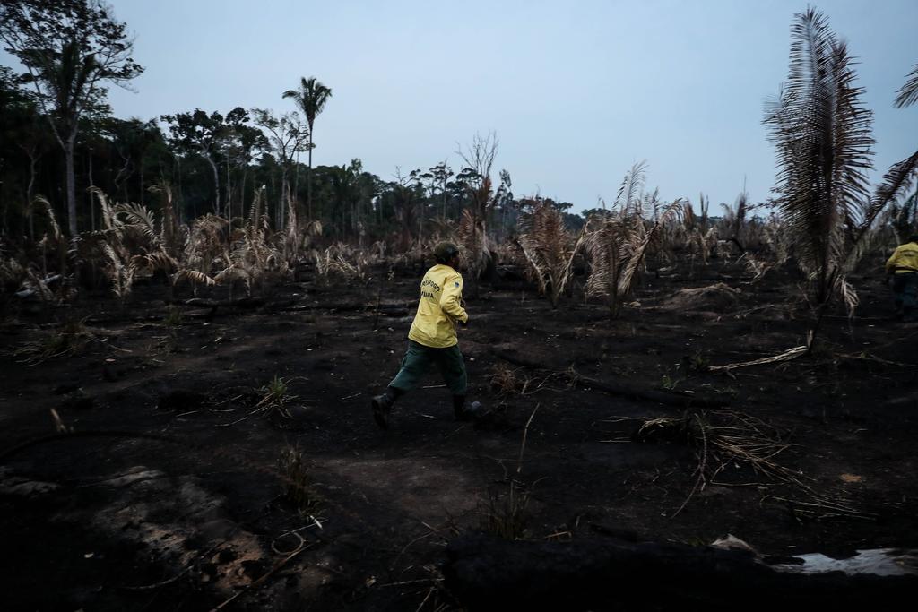 La deforestación en la Amazonía se ha disparado desde la llegada al poder de Jair Bolsonaro. (ARCHIVO) 