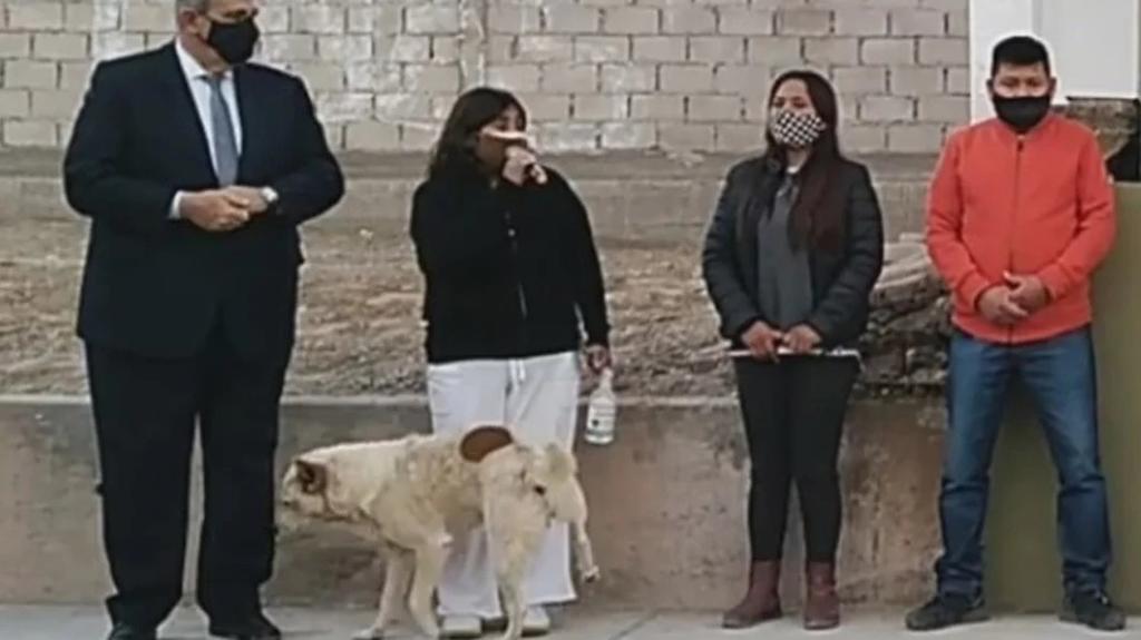 Justo cuando la alcaldesa se dirigía al público, el perro se acercó para orinarla (CAPTURA) 