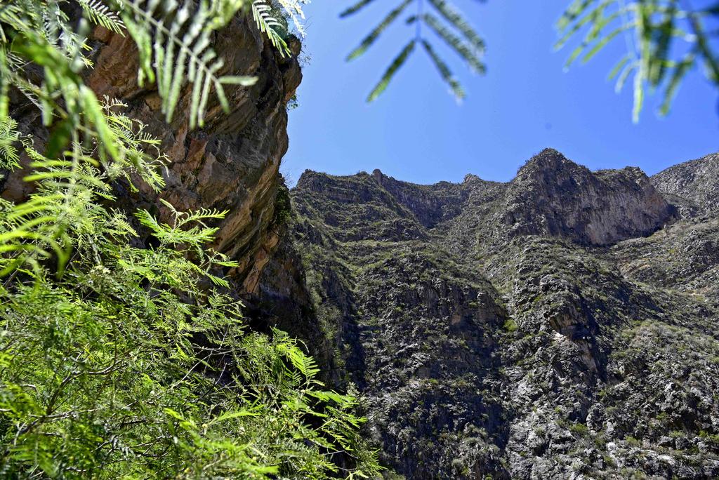 Daniel Ríos Reyna, subdirector de Gestión Integral de Riesgos de Protección Civil y coordinador de la dependencia en la región Laguna de Durango, hizo un llamado a las personas que gustan de practicar actividades de senderismo para que tomen las medidas necesarias para prevenir accidentes y salvaguardar sus vidas. (DIANA GONZÁLEZ)