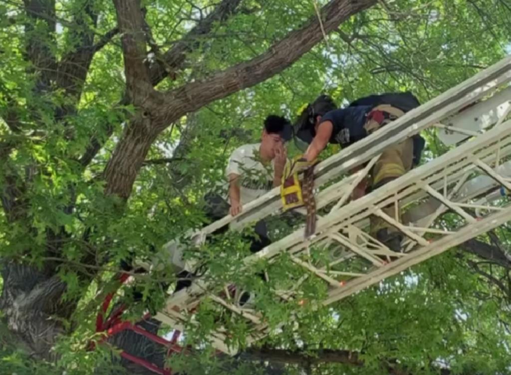 Video del rescate fue compartido por los bomberos. (INTERNET)