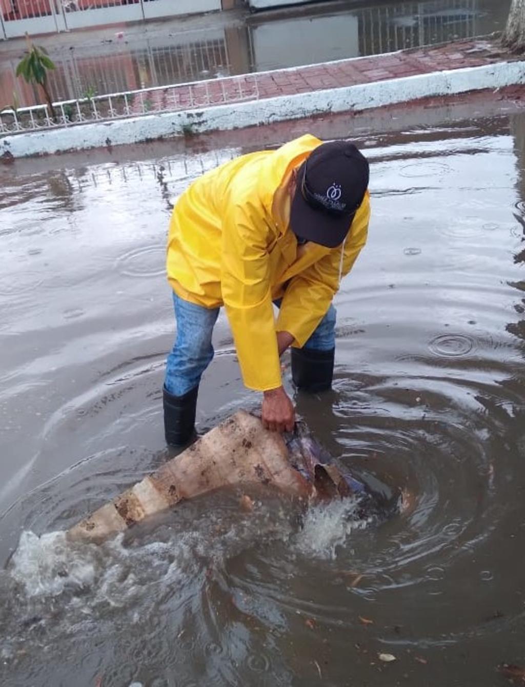 Estos trabajos se realizan tanto de manera correctiva como preventiva, para que las calles no presenten daño con las precipitaciones.
(EL SIGLO DE TORREÓN)