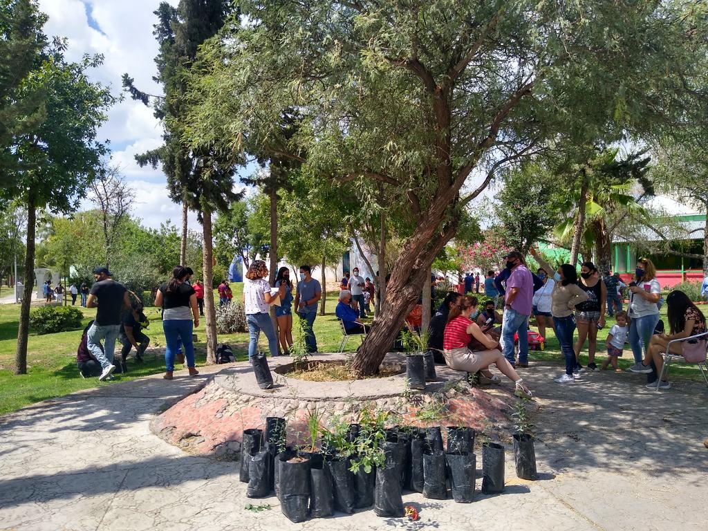 Torreón, Gómez Palacio y Lerdo van por un pacto de colaboración municipal por el arbolado urbano de la Región Lagunera. (ANGÉLICA SANDOVAL)