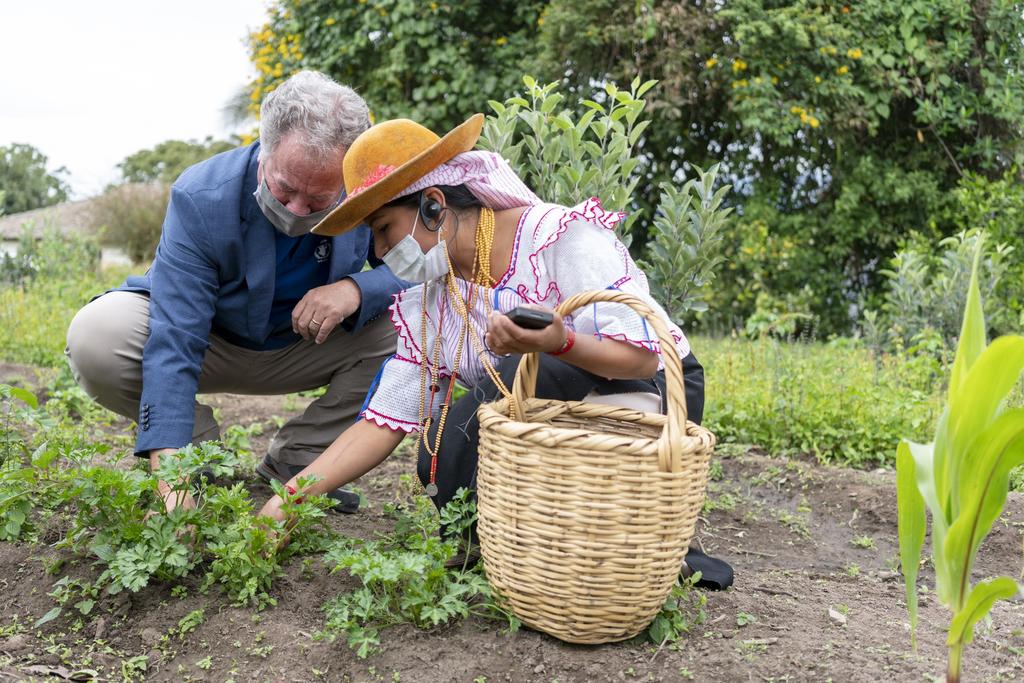 El incremento de la subnutrición varía entre regiones, y mientras que cerca de una de cada cinco personas en África sufrió este problema (21 %), en América Latina y el Caribe afectó a un 9.1 % y en Asia a un 9 %.
