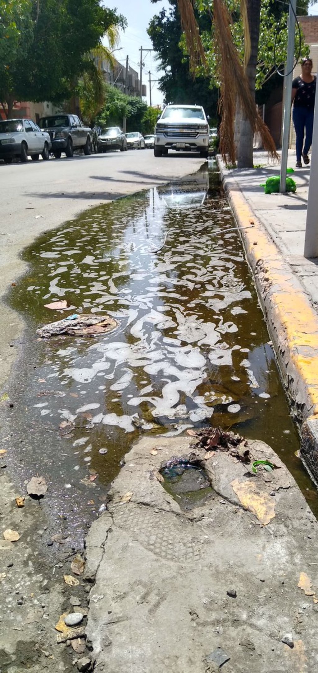 Continúan los brotes de aguas negras en pleno Centro de Lerdo y el Sapal no atiende el drenaje. (DIANA GONZÁLEZ)