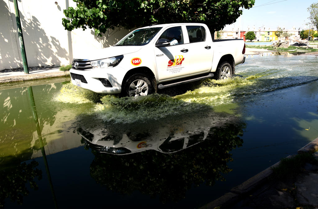 Por Proliferación De Mosquitos Culex Aplican Insecticida En Colonias De Torreón El Siglo De