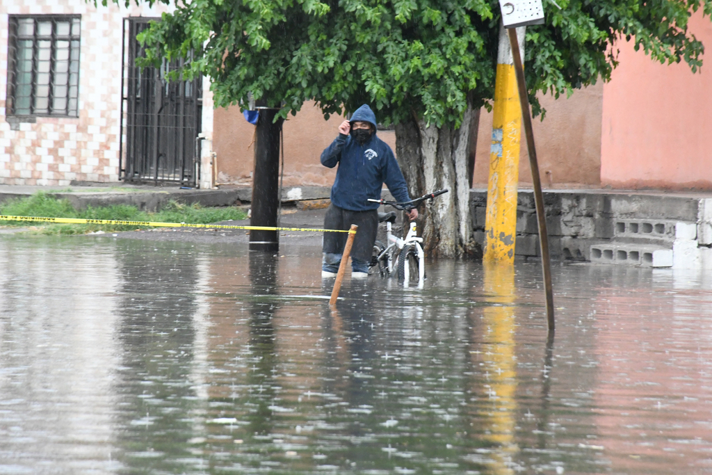 La Jurisdicción Sanitaria Vi Aplica Insecticidas En Colonias De Torreón Por Proliferación De Moscos