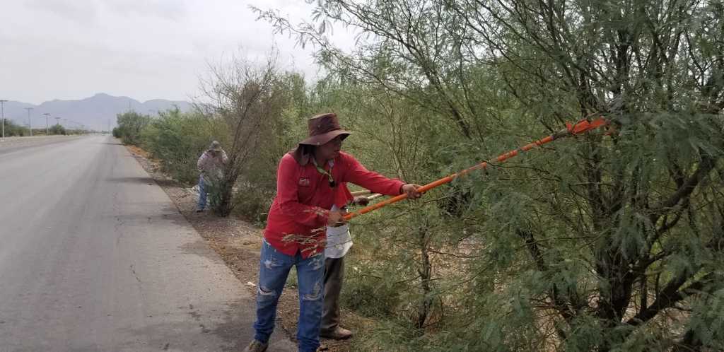 Para seguridad de ciclistas que circulan por la carretera Matamoros-La Esperanza, se realizaron trabajos de limpieza. (EL SIGLO DE TORREÓN) 