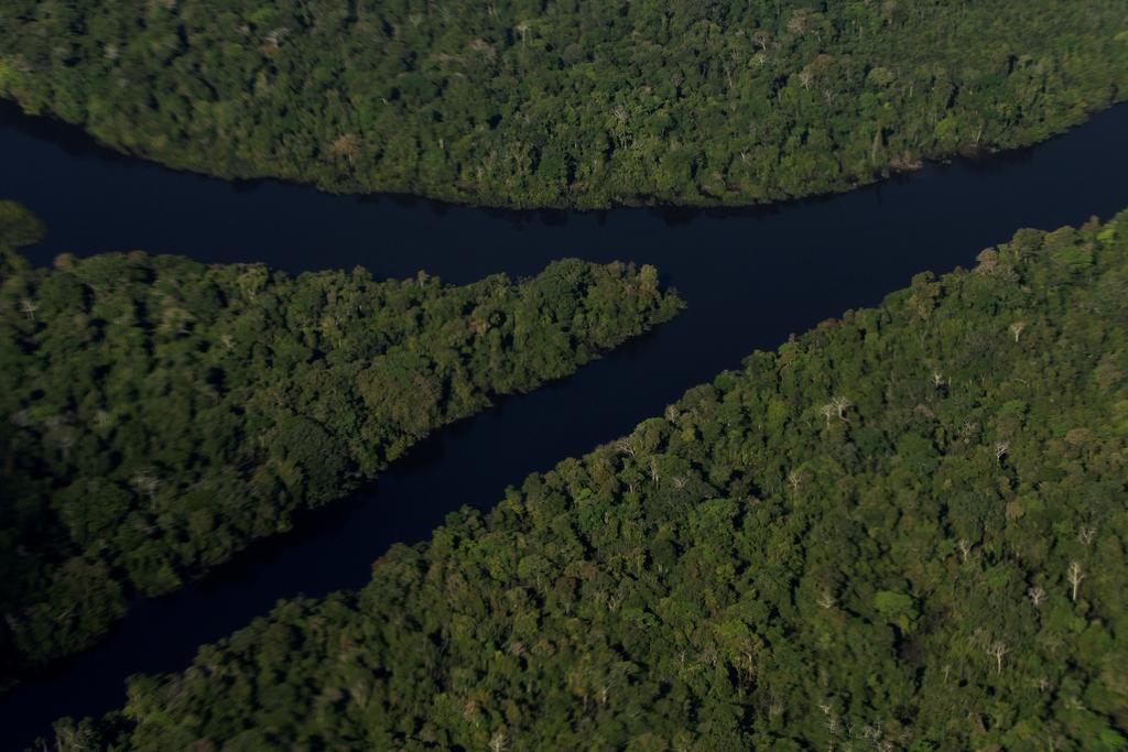 El Amazonas desempeña una labor fundamental para absorber dióxido de carbono; sin embargo, el sureste del mayor bosque tropical del mundo ha empezado a emitir más CO2 del que absorbe, según un estudio que publica Nature. (ARCHIVO) 
