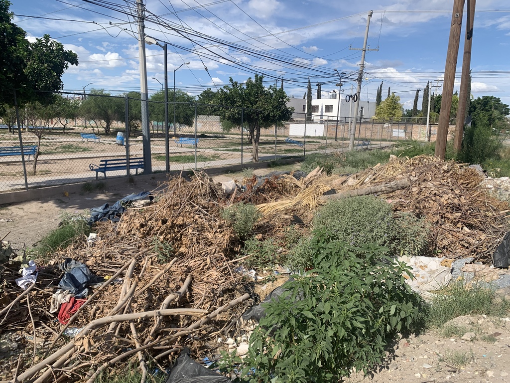 Reportan acumulación de basura en terrenos de la colonia Arboledas de Torreón. (ÉRICK SOTOMAYOR)