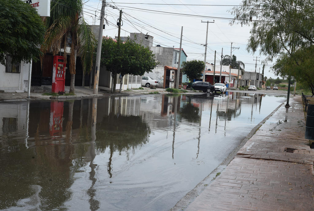 La Dirección de Protección Civil y Bomberos de Gómez Palacio, informó que la cantidad de agua que se espera no es mayor y que el pronóstico arroja entre 1 y 5 milímetros de agua en lluvia aislada para los próximos días.
(JESÚS GALINDO)