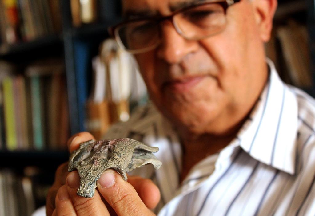 Una expedición conjunta de científicos chilenos y argentinos descubrió restos del esqueleto de un cocodrilo prehistórico de 148 millones de años en la cordillera Patagónica del sur de Chile, uno de los pocos cocodrilos que habitaban tierra firme junto a los dinosaurios. (ARCHIVO) 
