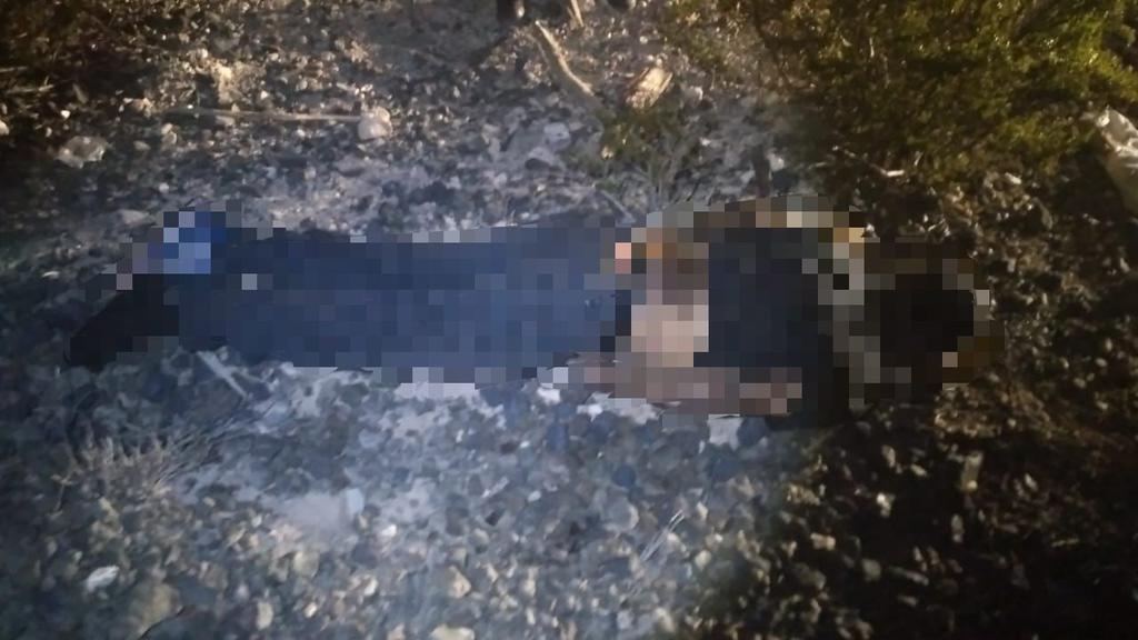 Una persona del sexo masculino de nacionalidad nicaragüense perdió la vida tras presuntamente caer del tren en la zona rural de Viesca Coahuila. (EL SIGLO DE TORREÓN)