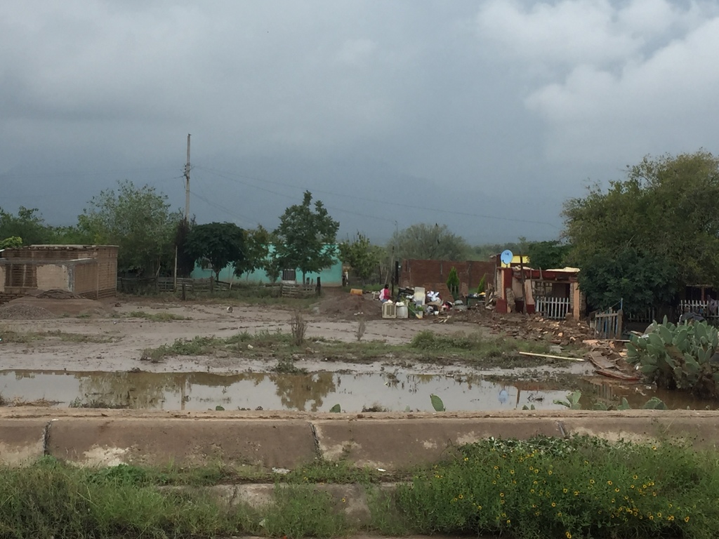 Son cerca de 1,400 las viviendas afectadas en la zona urbana y rural de Gómez Palacio por las lluvias de los últimos días.