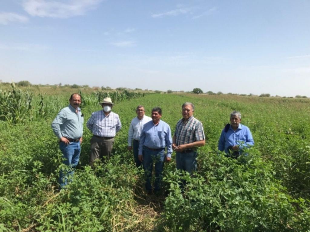Para promover la explotación de la goma-guar como un cultivo alternativo se dará promoción a los productores de La Laguna.
