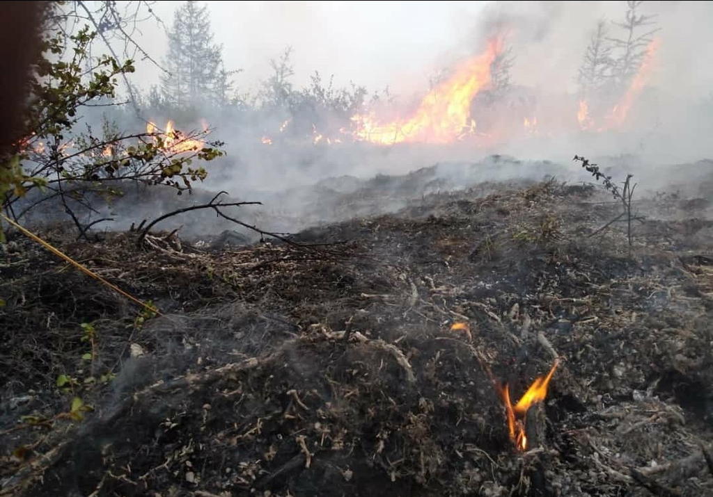 Las autoridades rusas comenzaron el domingo a evacuar dos aldeas en una vasta región de Siberia donde arden 155 incendios forestales. (ARCHIVO) 