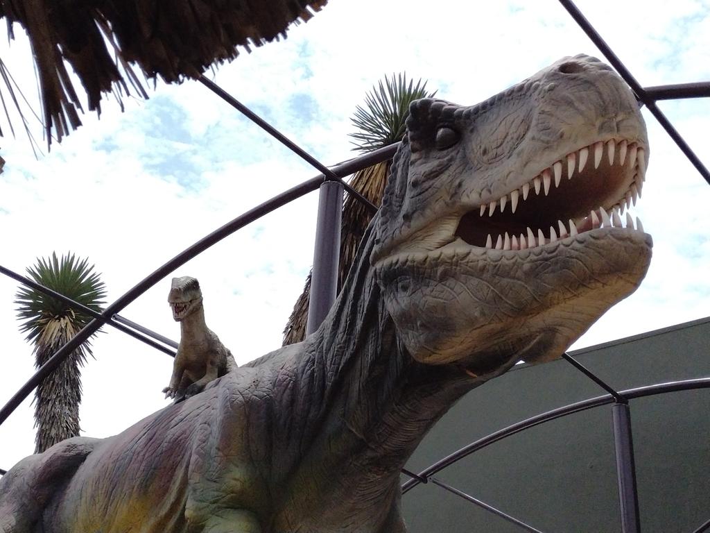 Sin importar la edad, la exposición “Zona Dinos” con dinosaurios robotizados es una de las áreas más visitadas en Museo del Desierto (MUDE), donde a pesar de contar con aforo de máximo el 50%, ya supera los 30 mil visitantes.
