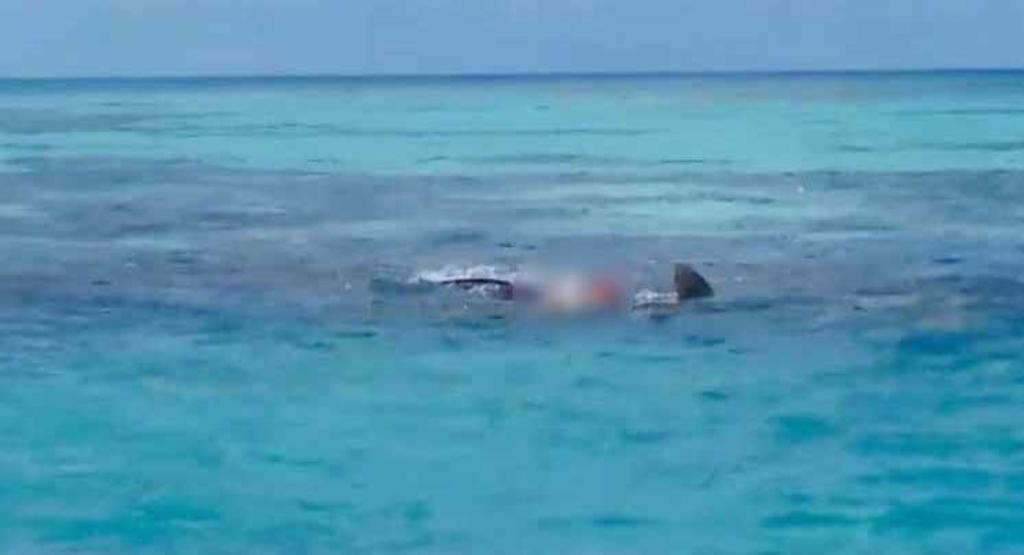 El cuerpo del hombre flotando en el mar fue reportado a las autoridades, sin embargo, cuando éstas arribaron los restos humanos ya estaban siendo devorados por un tiburón (CAPTURA)  