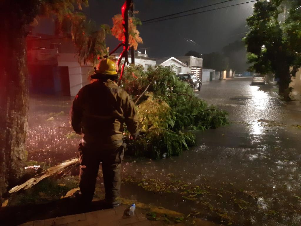 Durante los trabajos, la dependencia en coordinación con Bomberos, indicó que dentro de las acciones realizadas se efectuó el cierre de una vialidad en la colonia 20 de Noviembre, también se recibió el reporte de la caída de cuatro árboles en el área centro de la ciudad, en cuanto al desnivel Francisco Sarabia, mencionó que debido a la poca precipitación en las afueras de la ciudad, no fue necesaria la clausura preventiva del mismo.
(EL SIGLO DE TORREÓN)