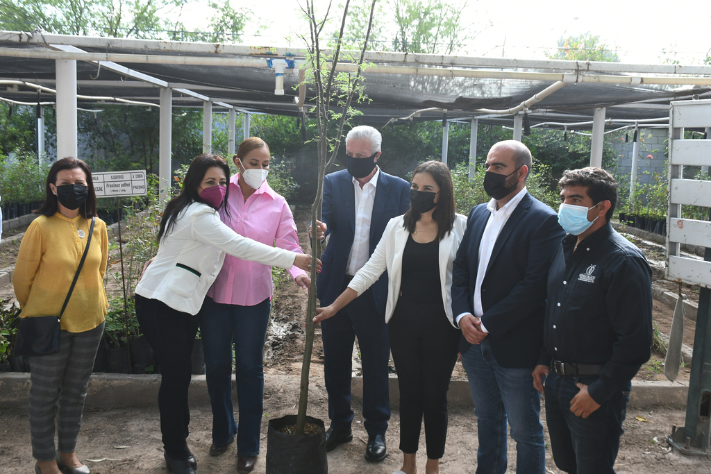 El Municipio de Torreón donó 200 árboles nativos de la región al Municipio de Gómez Palacio, buscan forestar la zona urbana. (FERNANDO COMPEÁN)