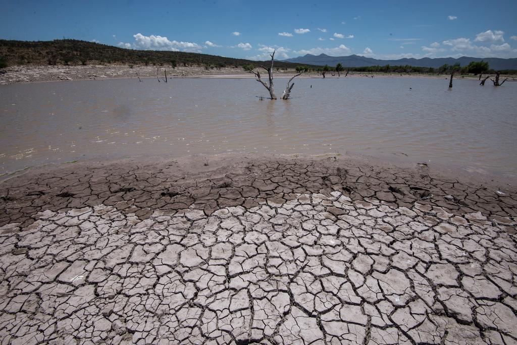 La Conagua prevé un aumento del denominado estrés hídrico en 31 de los 32 estados del país, incluyendo la Ciudad de México, durante los próximos 10 años.
(EFE)