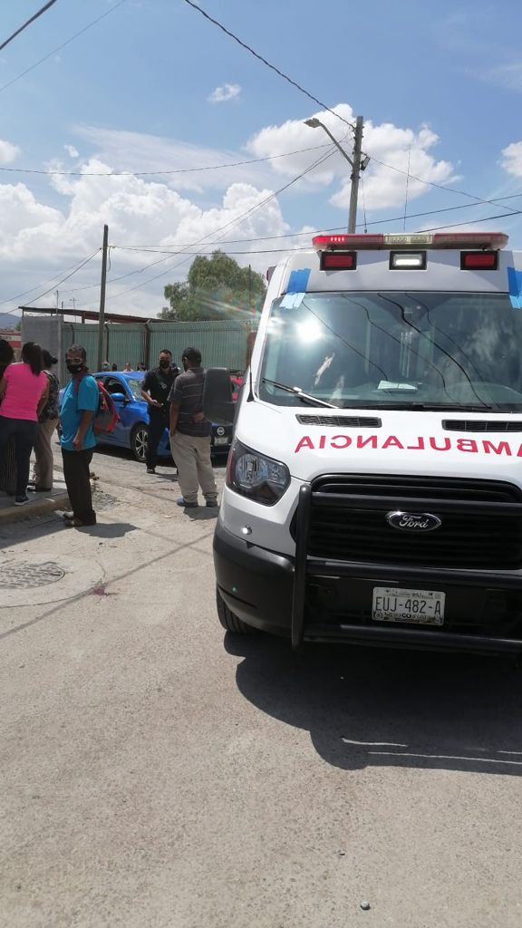 Caballo termina lesionado tras impactarse contra  vehículo en Ramos Arizpe