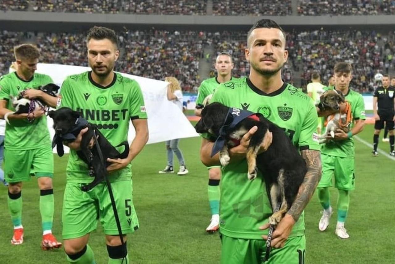 Los futbolistas de la liga de Rumania se hicieron virales recientemente debido a que los jugadores salieron a la cancha con perritos que buscan un hogar.  (CORTESÍA) 
