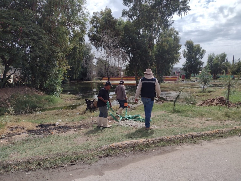 Aseguran en Simas que en 48 horas desalojarán el agua sucia. (EL SIGLO DE TORREÓN / Mary Vázquez)