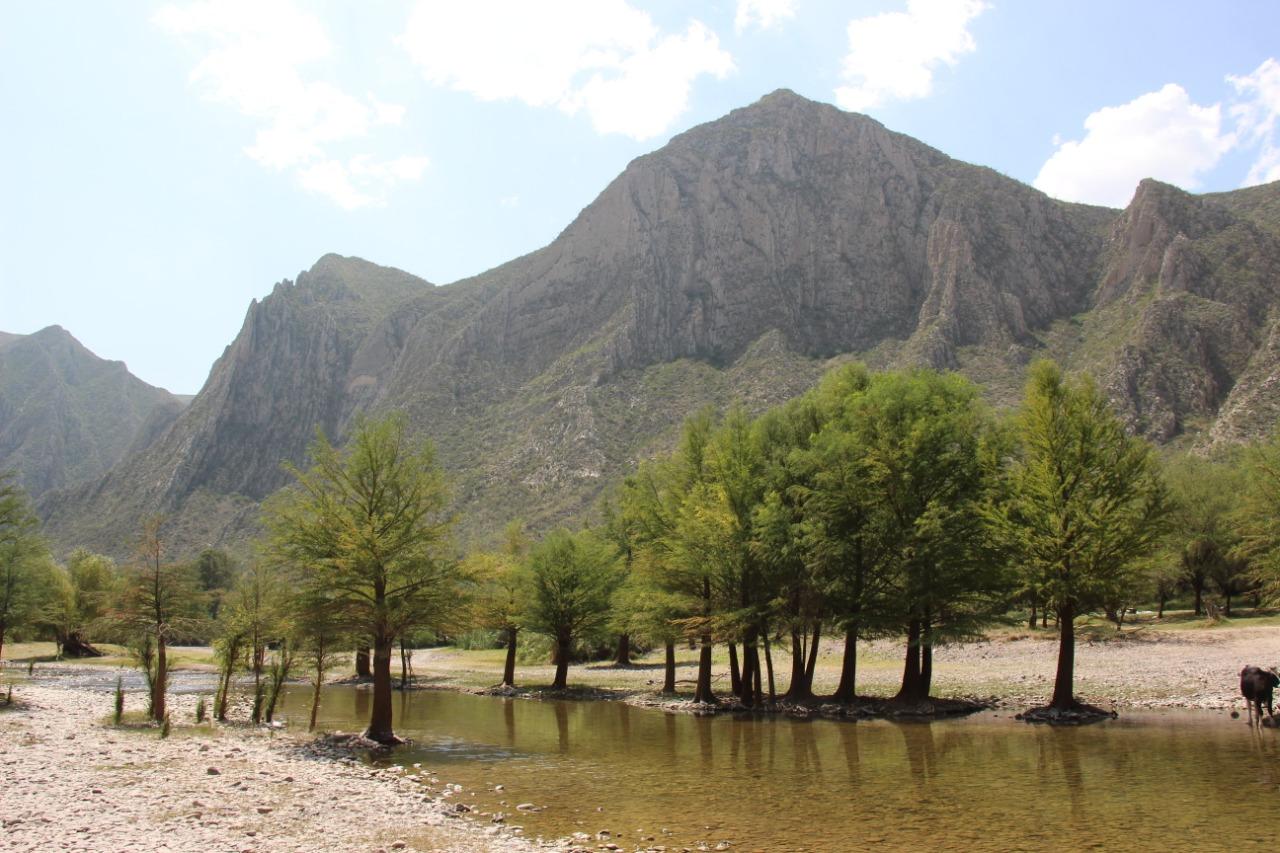 Se permitió alcanzar el desistimiento del amparo en contra de la presa derivadora que se contempla dentro del área natural protegida del Cañón de Fernández. (ARCHIVO)