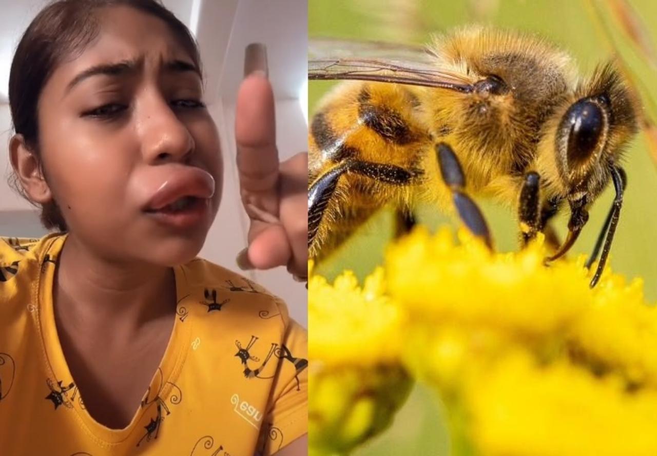 La joven mostró a través de TikTok, cómo quedaron sus labios tras haber sido picada por una abeja (CAPTURA) 