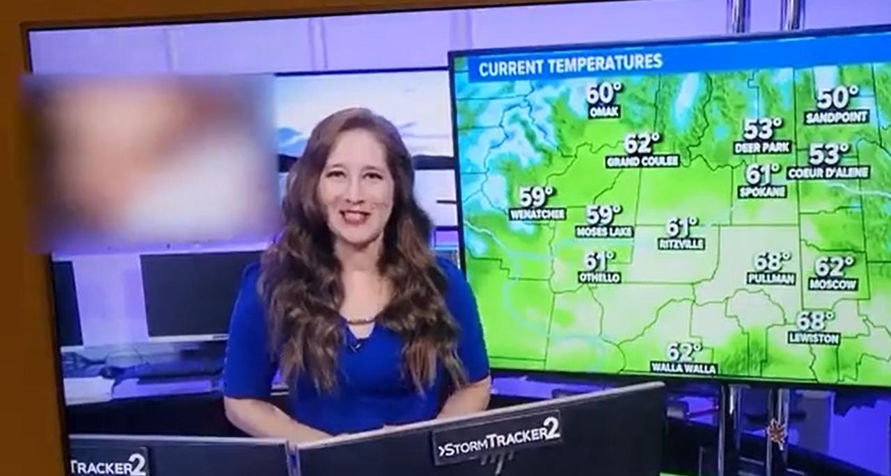 Mientras la presentadora hablaba sobre el reporte del clima para Washington, comenzó a emitirse un video para adultos en una de las pantallas que se encontraban tras ella (CAPTURA) 