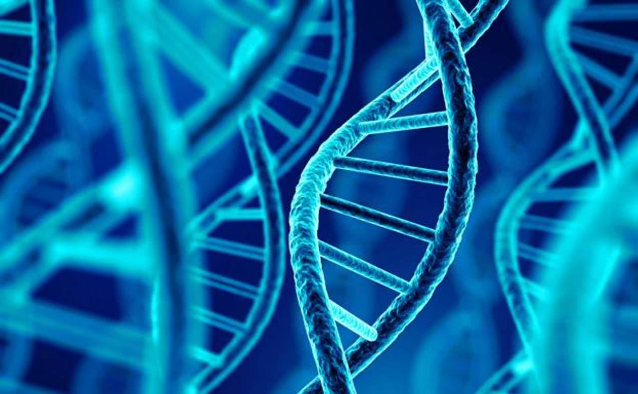 Un equipo internacional de investigación ha descubierto cientos de conexiones entre distintas enfermedades humanas a través de su origen común en nuestro genoma, lo que pone en entredicho la categorización de las enfermedades por órganos, síntomas o especialidad clínica. (ESPECIAL) 
 