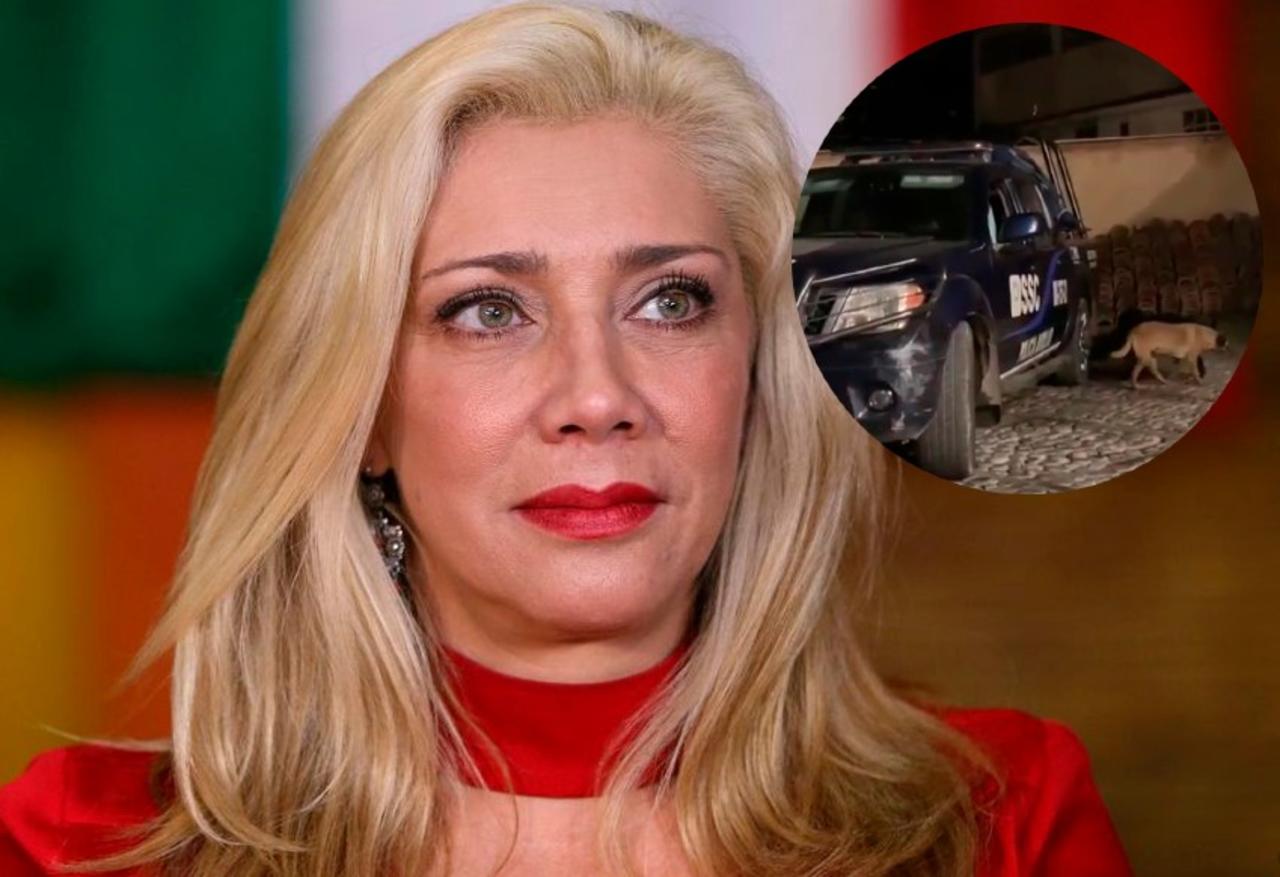 Esta semana la actriz Cynthia Klitbo tomó sus redes sociales para exhibir a dos oficiales de policía en la Ciudad de México que utilizan su avenida para 'descansar' durante sus horas de trabajo. 