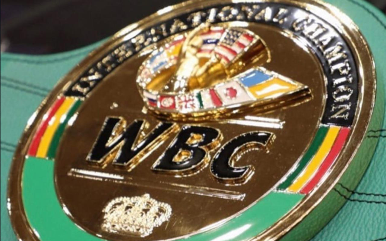 Durante la Convención Anual WBC de 1986,  fue cuando se crearon los títulos internacionales WBC, idea innovadora promovida por el presidente vitalicio del organismo Don José Sulaimán. (ESPECIAL)