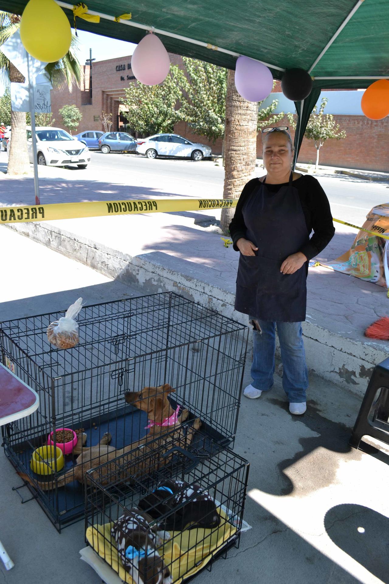 Mayte Flores se dedica a rescatar a perros en situación de calle, resguardándolos en su albergue 'Amigos por Siempre'  (EL SIGLO DE TORREÓN/ELENA GONZÁLEZ) 