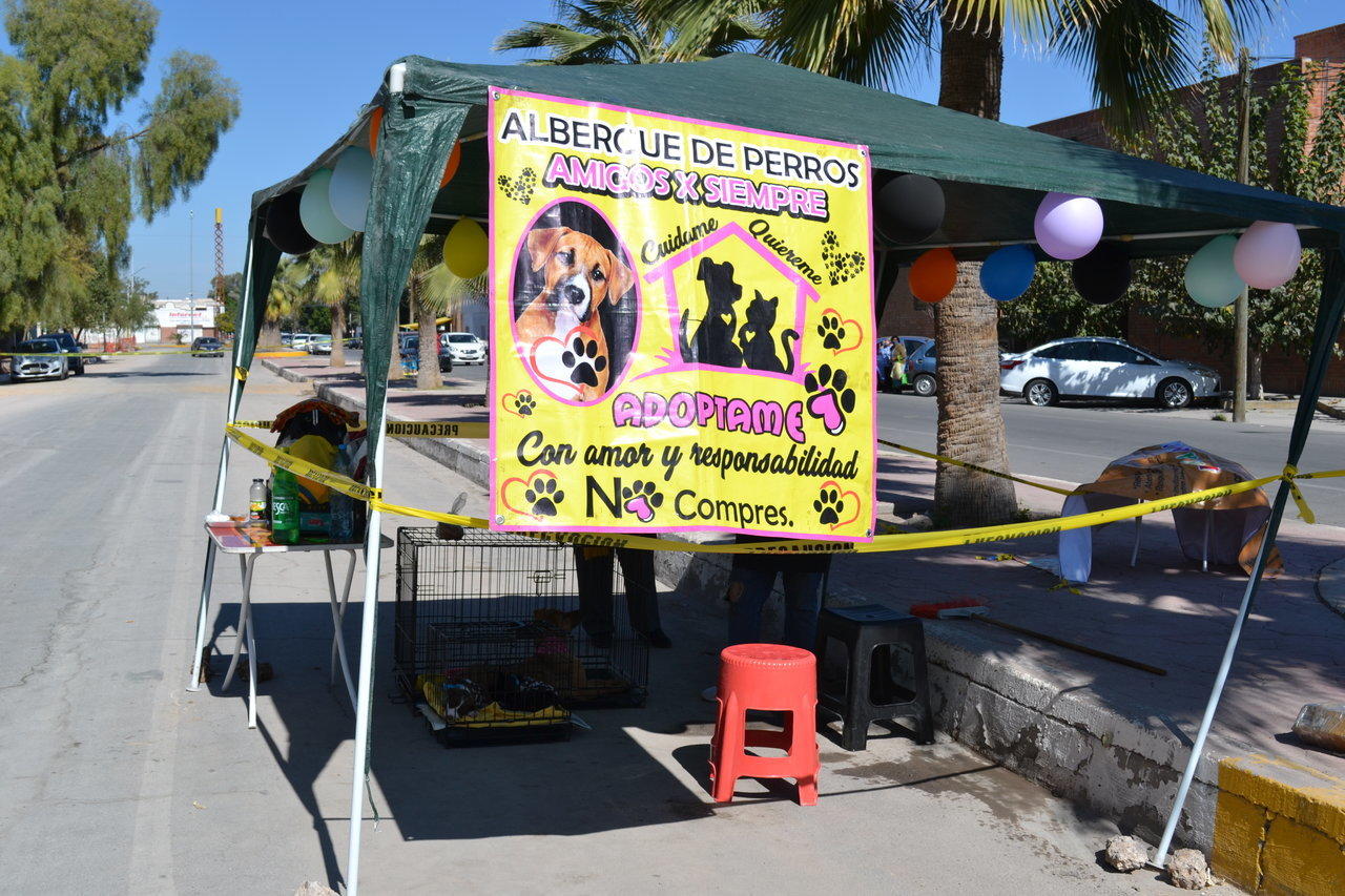 El albergue 'Amigos por Siempre' suele instalarse los domingos sobre la calle Juan Pablos, frente al Bosque Venustiano Carranza de Torreón (ELENA GONZÁLEZ/EL SIGLO DE TORREÓN) 