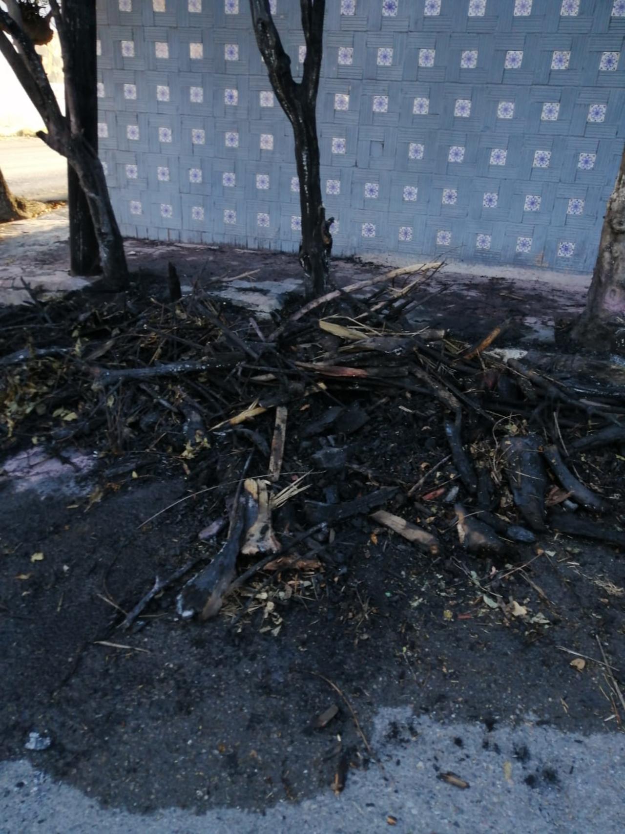 Los hechos se han registrado en la calle Jazmín esquina con la calle Ramos Arizpe fraccionamiento Alameda a dos cuadras de la Alameda de Zaragoza, con rumbo a la colonia Guayulera.

