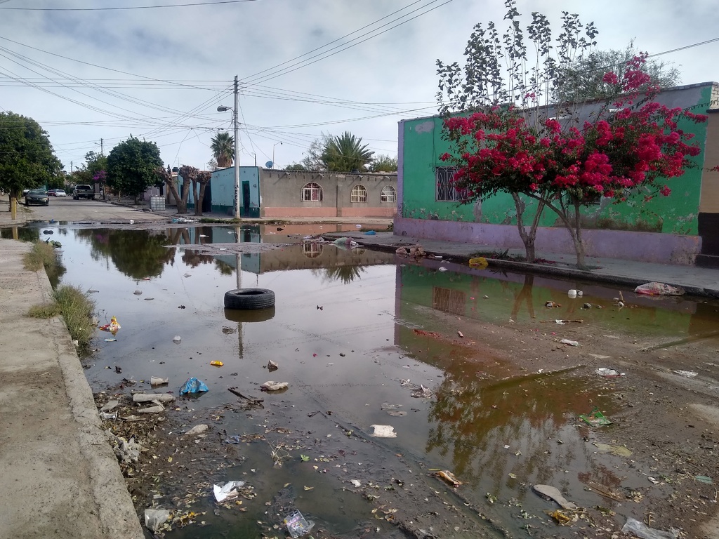 Prácticamente durante todo el año se registra la fuga. (MARY VÁZQUEZ)