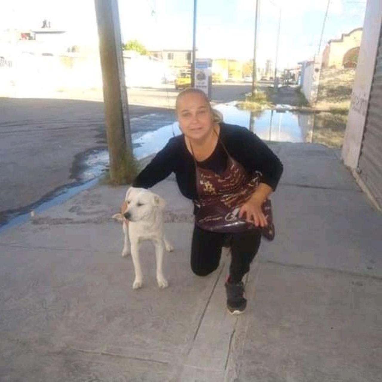Perritos esperan ser adoptados en Torreón