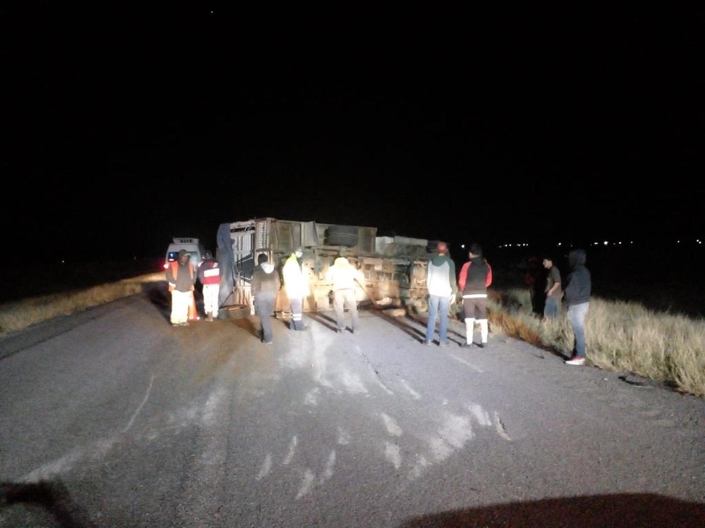 La unidad que sufrió la volcadura en la Gómez Palacio, Jiménez transportaba borregos y cabras con dirección a la CDMX. (EL SIGLO DE TORREÓN) 