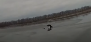 Oficial de policía rescata a un perro que cayó a un lago helado