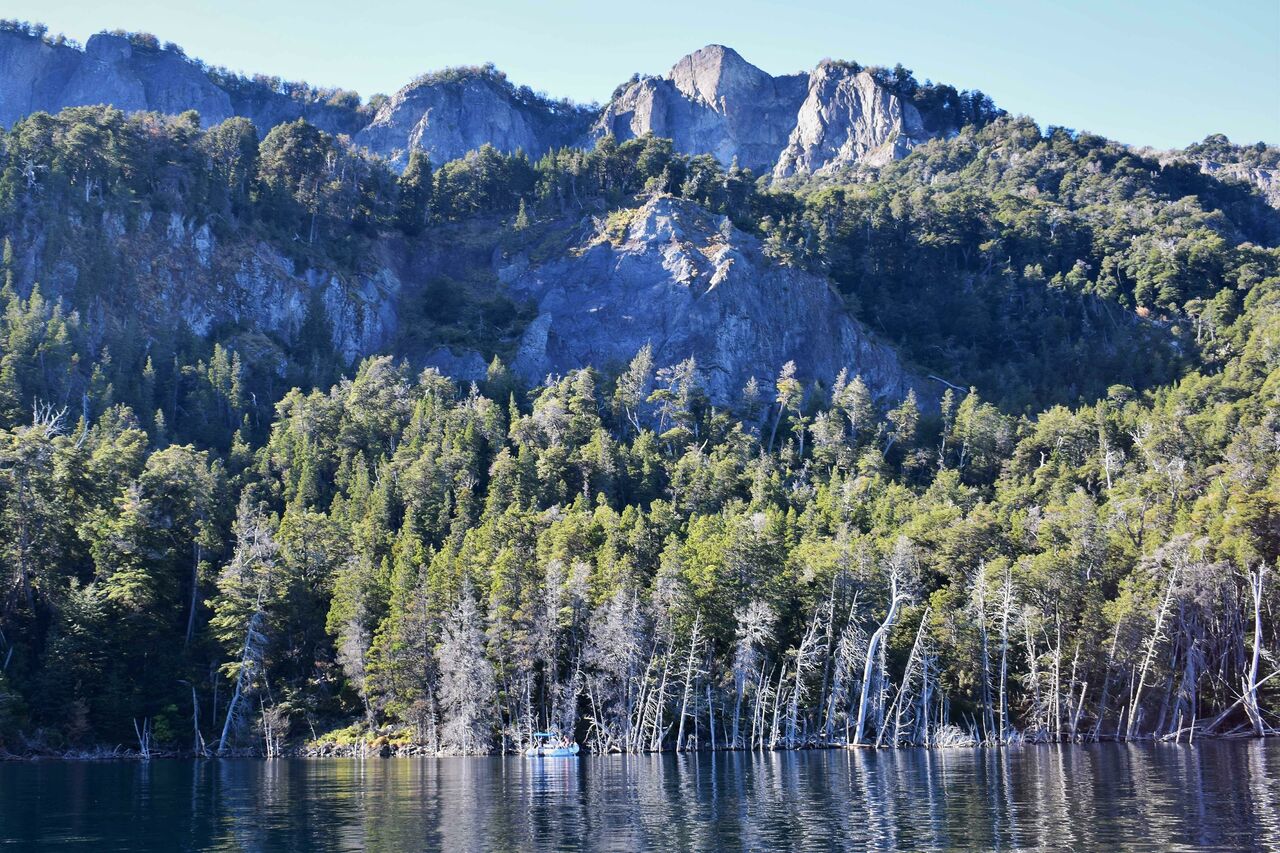 América del Sur era un continente dominado por sabanas en el Pleistoceno, mucho más similar a África que en la actualidad, pero la extinción de grandes herbívoros permitió la expansión de los bosques sudamericanos, según un estudio de científicos españoles publicado en la revista Nature Communications. (ARCHIVO) 