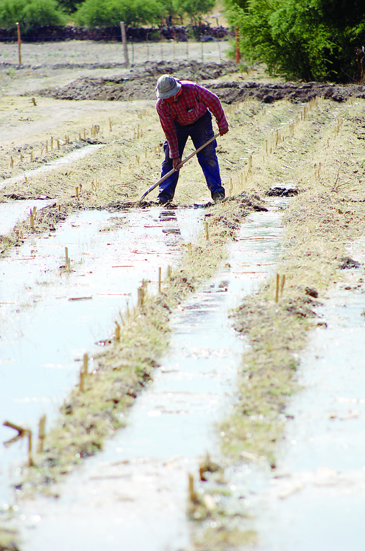 Los productores agrícolas requieren de capacitación. (EL SIGLO DE TORREÓN)