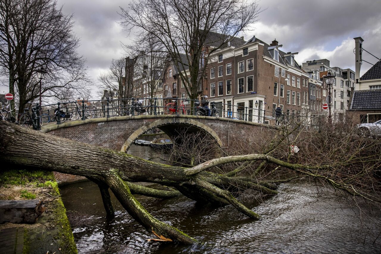 Los vendavales, que han alcanzado hasta 145 kilómetros por hora en algunas regiones del país, han derribado un árbol en la zona sur de Ámsterdam sobre un viandante, que falleció en el hospital por la gravedad de las heridas, según ha confirmado el departamento de bomberos de la ciudad. (EFE) 