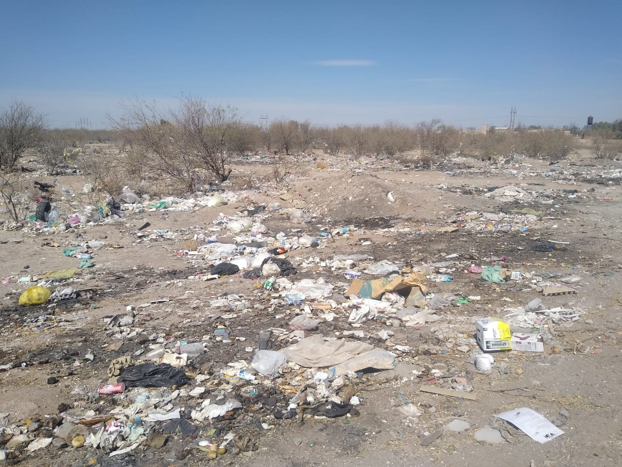 Al no acudir el camión recolector proliferan los basureros. (EL SIGLO DE TORREÓN)