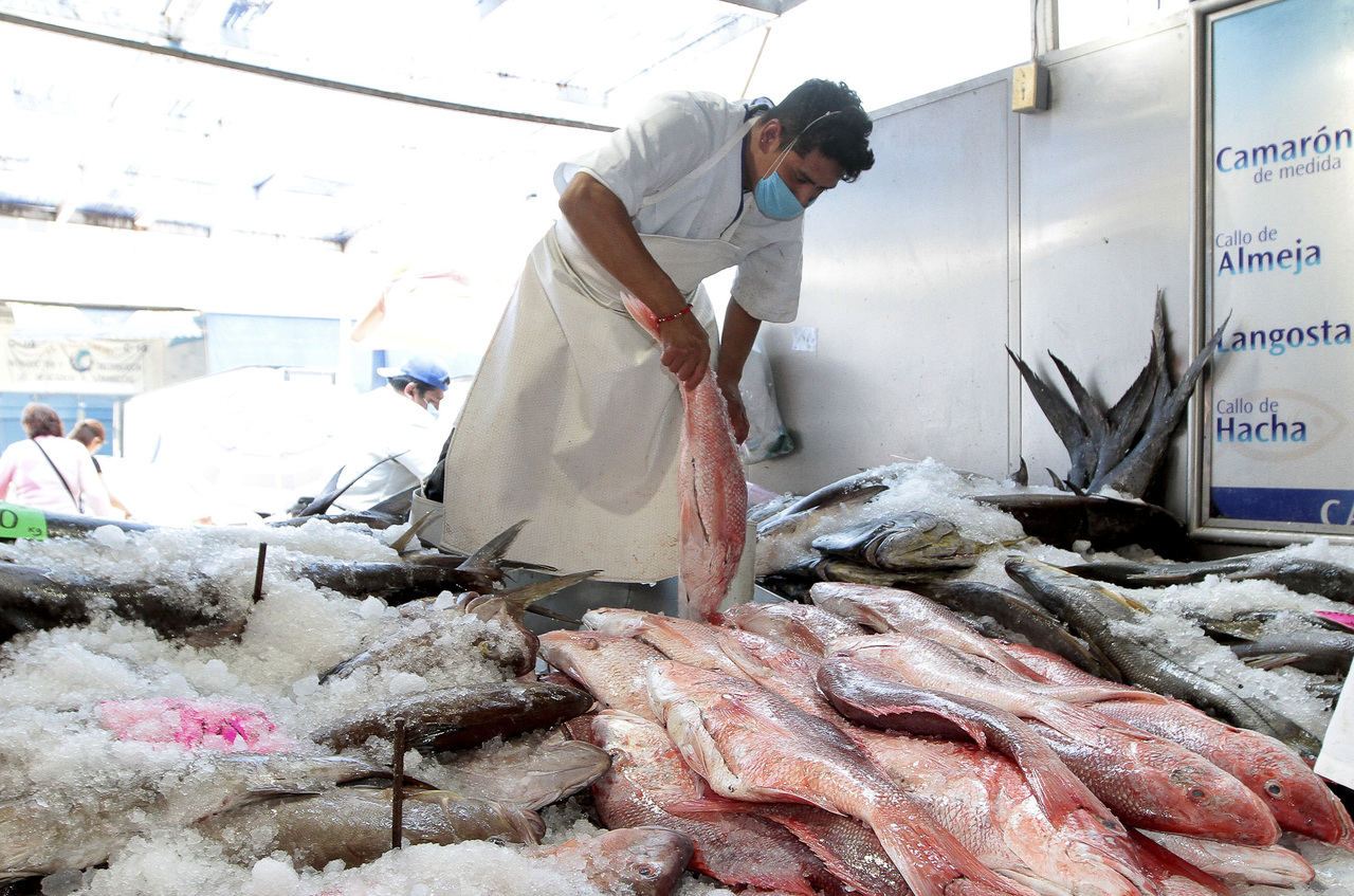 Sader garantiza abasto de pescados y mariscos