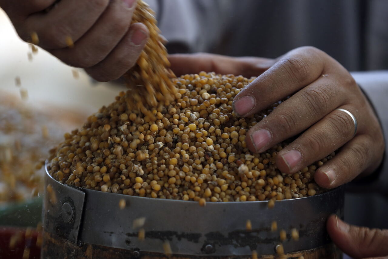En todo el mundo, agricultores como Kessel deciden si cambian sus patrones de siembra para aumentar su producción de trigo ahora que la guerra suspende o deja en duda el suministro de granos de una zona llamada “el granero del mundo”. (ARCHIVO) 