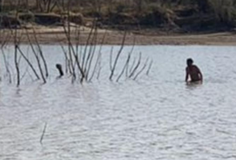 Detienen a hombre realizando labores de pesca con red de enmalle en presa Palo Blanco; actividad prohibida