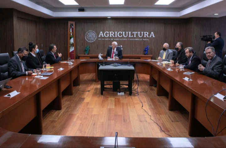 Citricultura, actividad de alta prioridad para la Secretaría de Agricultura