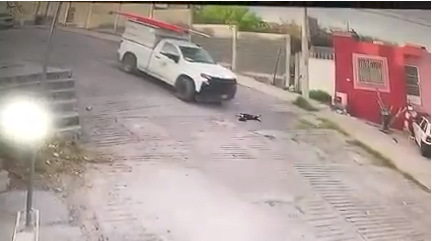 Empleado de CFE atropella y mata a un perro en Monclova; autoridades ya investigan
