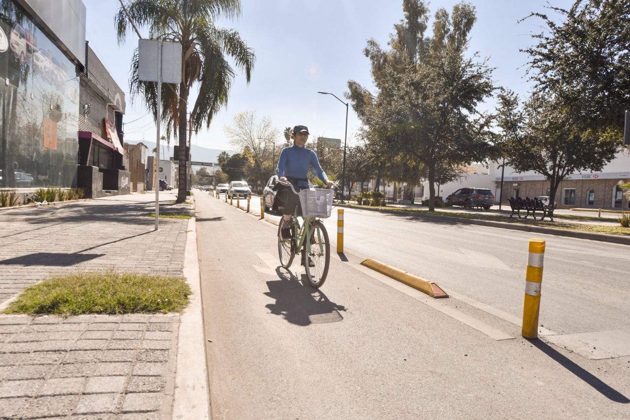 El Colegio de Ingenieros Civiles se pronunció a favor de la permanencia de la ciclovía en la Colón.